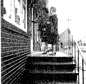 screenshot-from-2017-02-14-04-19-32