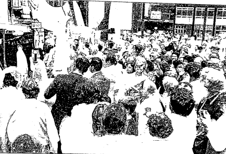 screenshot-from-2017-02-14-05-08-27